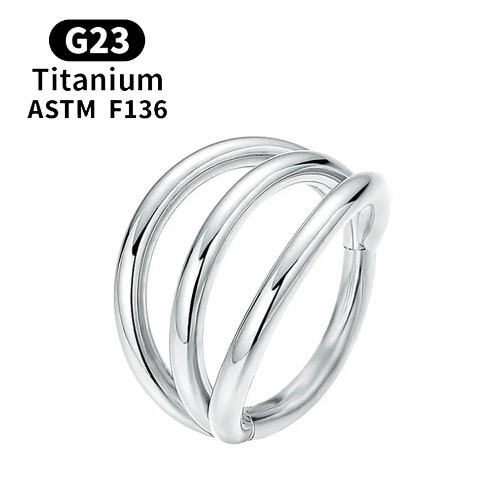 F136 G23 Titanium Nose Ring 16G Hinged Segment CZ Septum Clicke Daith Earrings Hoops Ear Cartilage Tragus Helix Piercing Jewelry Silver Color 5 CHINA