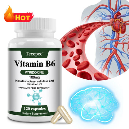 Vitamin B6, 100 Mg, with Lactase, Cellulase, and Betaine for Mental and Physical Energy, Brain Health, Heart Health, Non-GMO