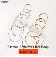 New In Earrings Dried Flower Crystal Dangle Hoop Earrings For Women Stainless Steel Diycharm Long Earring Cute Jewelry Wholesale