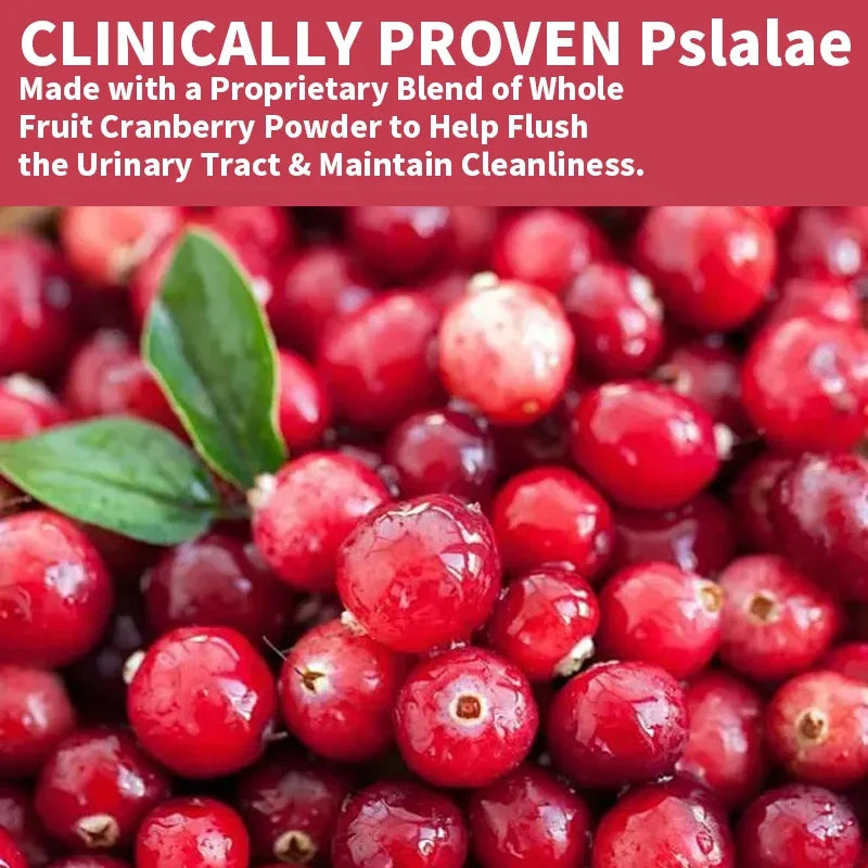 Organic Cranberry Capsules - Rich Vitamin C, Healthy Bladder, Fast Detoxification, Supports Urinary System Health, Antioxidant