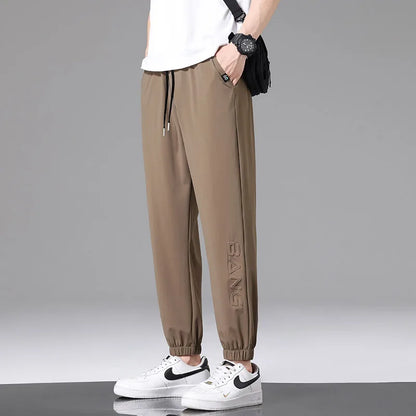 Men Pants Ice Silk Elastic Plus Size 6XL 7XL 8XL Quick Dry Summer Beach Thin Breathable Home Trousers Brand Stretch Lightweight 9331 Brown