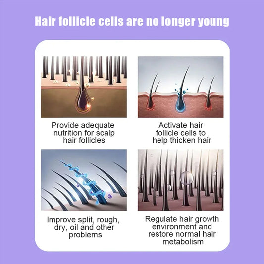 Men's Multivitamin Supplement - Supports Men's Multivitamin with Vitamins A, C, D, E & B12, Zinc, Calcium, Magnesium and More