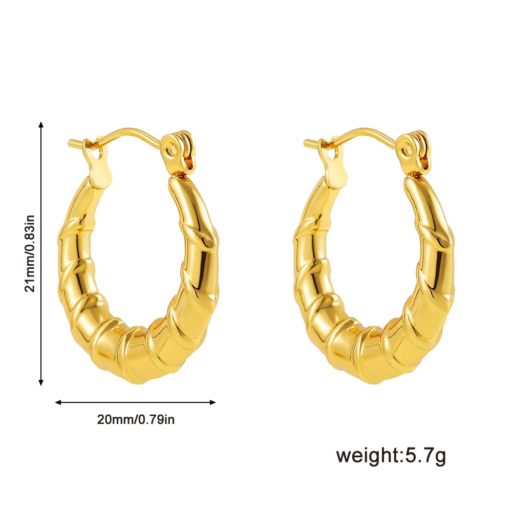 Fashion Glossy Stainless Steel Chunky Hoop Earrings for Women Gold Plated Thick Texture Geometric Circle Earring Vintage Jewelry