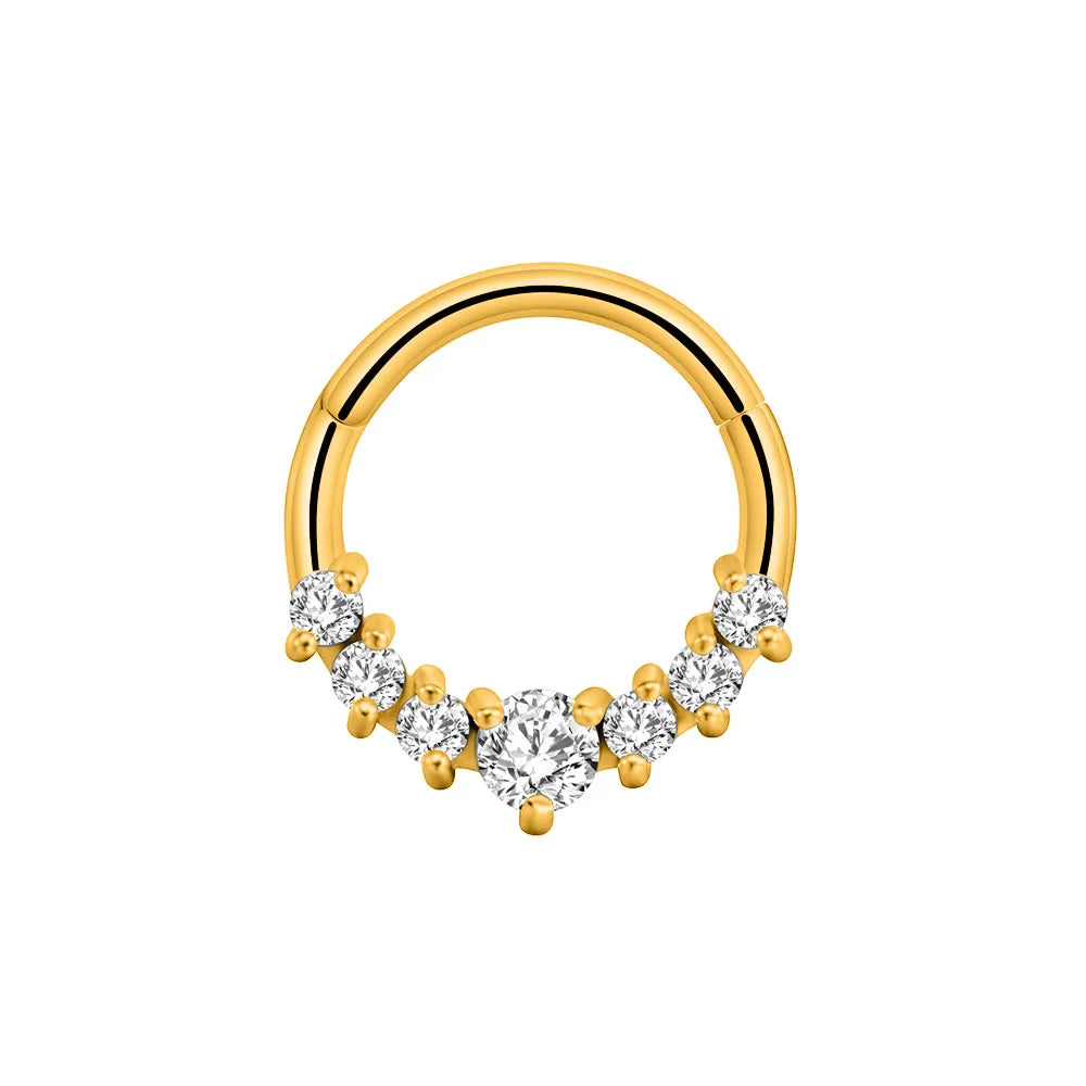 Flower Moon Heart Waterdrop Septum Piercing Daith Conch Tragus Hoop Earring Clicker Segment Nose Ring 316L Surgical Steel 16G K-Gold Color