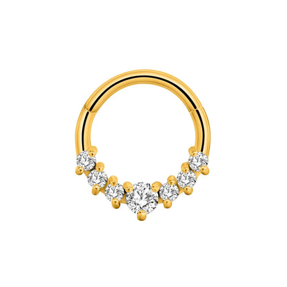 Flower Moon Heart Waterdrop Septum Piercing Daith Conch Tragus Hoop Earring Clicker Segment Nose Ring 316L Surgical Steel 16G K-Gold Color