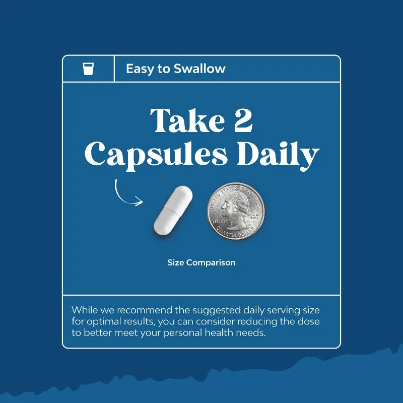 Vitamin C Supplement, Turmeric Root, Cordyceps Extract, Respiratory Supplement, Sinus Immune Support, 60 Capsules