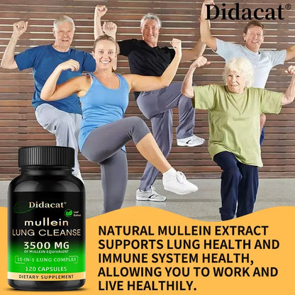 Mullein Leaf Extract Supplement Vitamin C Mineral Lung Cleansing Immune System Support 120 Capsules Health Supplement