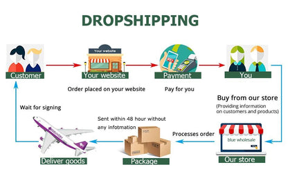 5 PCS/Set Mesh Briefs M-2XL Lace Panties Sexy Transparent Underwear Low Rise Panties Girls Intimates Lingeri Badiee Stylez