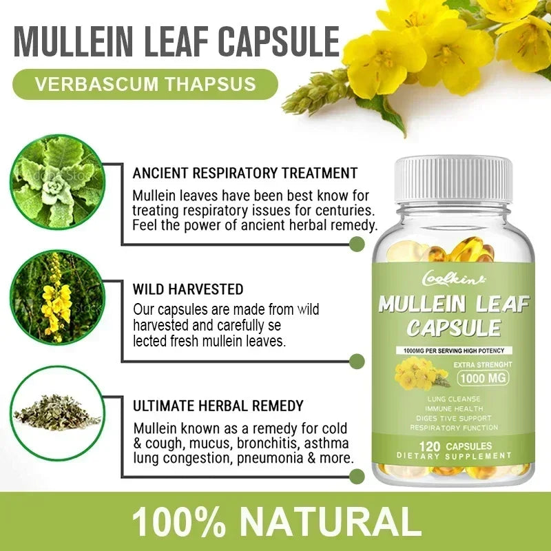 Mullein Leaf - Clear Lungs and Detoxify, Breathe Healthily, Relieve Headaches Supplement