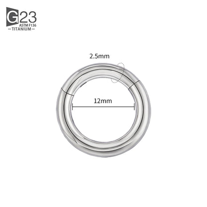 ASTM F136 Titanium PIERC Hinged Segment Hoop Earrings Large size Nose Rings 10G-6G 2.5mm-4mm Seamless Labret Lip Body Piercing 2.5x12mm