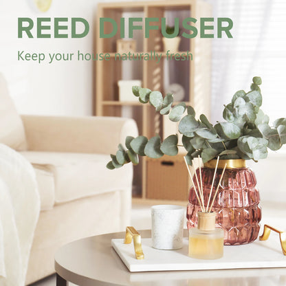 PHATOIL 100ml Fragrance Oil Coconut & Vanilla Bubble Gum Sea Breeze White Musk Aroma Fragrance Oils For Candles Soap Making - Badiee Stylez