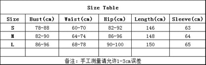 Sexy See-through Lace Flower Embroidery Slim Bodycon Long Dress Women Long Sleeved Maxi Dress Evening Club Party Vestidos