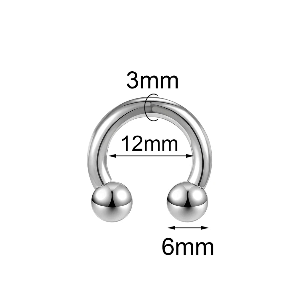 ASTM F136 Titanium PIERC Hinged Segment Hoop Earrings Large size Nose Rings 10G-6G 2.5mm-4mm Seamless Labret Lip Body Piercing 3.0x12x6x6mm