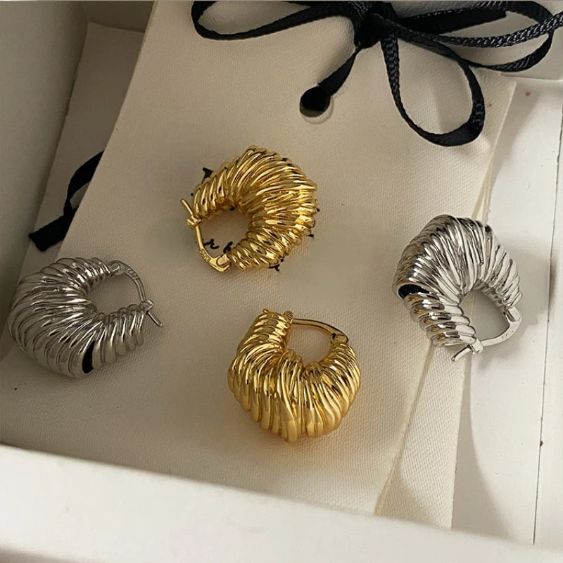 Modern Jewelry Pretty Texture Metal Hoop Earrings For Women Party Gifts Cool Trend Ear Accessories Hot Selling Dropshipping