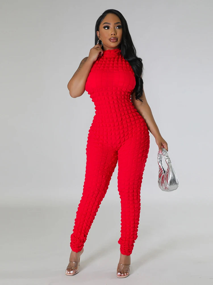 Sleeveless Zip Up Jumpsuit Women Chic and Elegant Woman Jumpsuit Sexy Tight Jumpsuit Full Body Ladies Wholesale Dropshipping Badiee Stylez