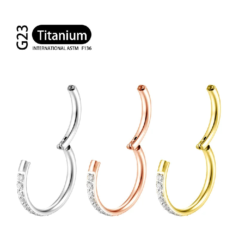 G23 Titanium Earrings Hoop Round Tragus Cartilage Helix Daith Lip Hinged Clicker Segment Ear Nose Ring Body Piercing Jewelry Badiee Stylez