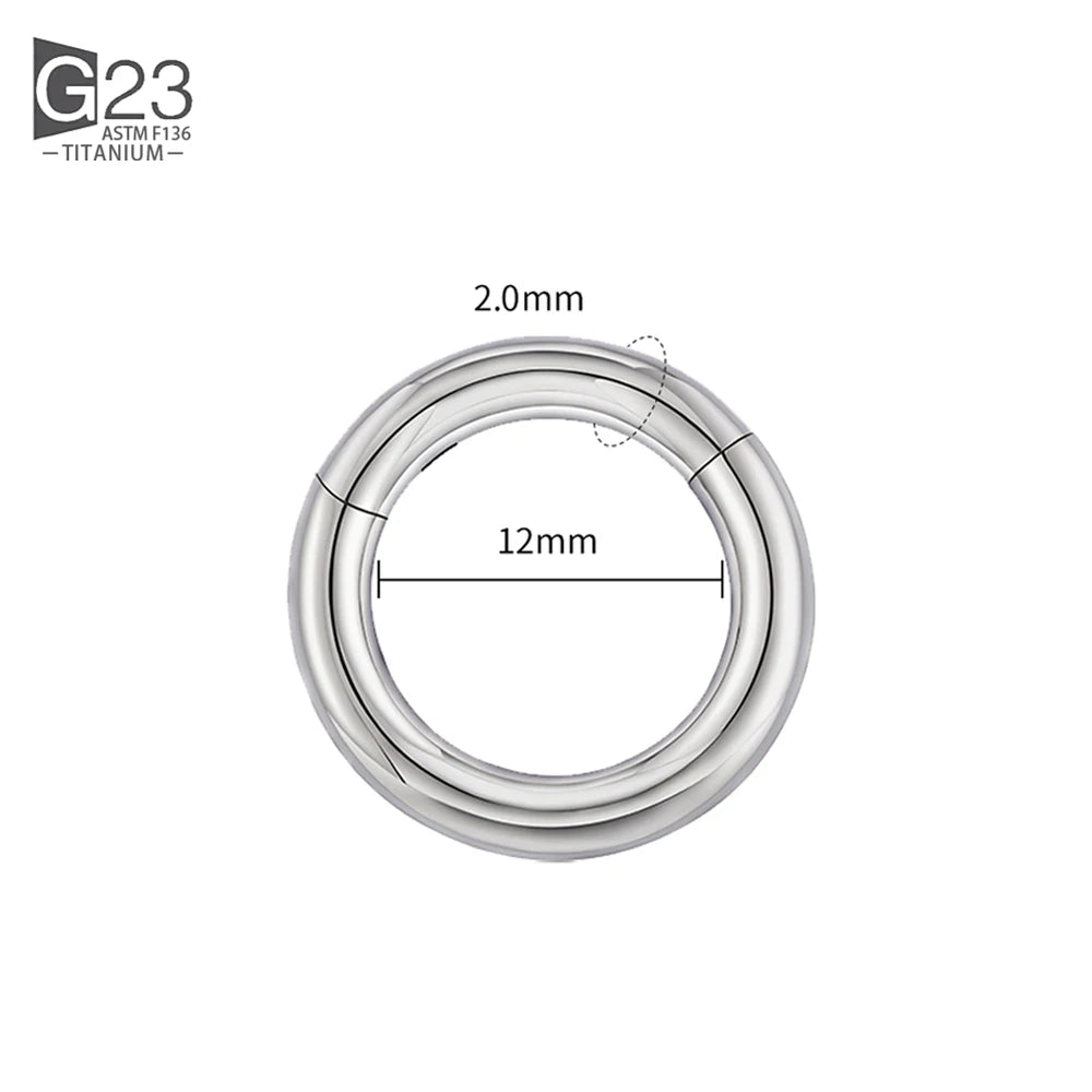 ASTM F136 Titanium PIERC Hinged Segment Hoop Earrings Large size Nose Rings 10G-6G 2.5mm-4mm Seamless Labret Lip Body Piercing 2.0x12mm