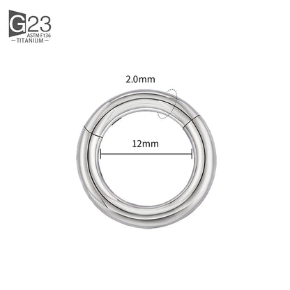 ASTM F136 Titanium PIERC Hinged Segment Hoop Earrings Large size Nose Rings 10G-6G 2.5mm-4mm Seamless Labret Lip Body Piercing 2.0x12mm