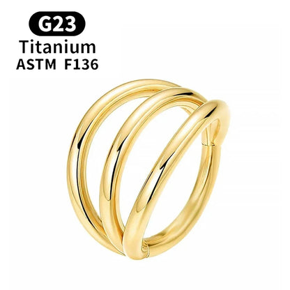 F136 G23 Titanium Nose Ring 16G Hinged Segment CZ Septum Clicke Daith Earrings Hoops Ear Cartilage Tragus Helix Piercing Jewelry Gold Color 2 CHINA