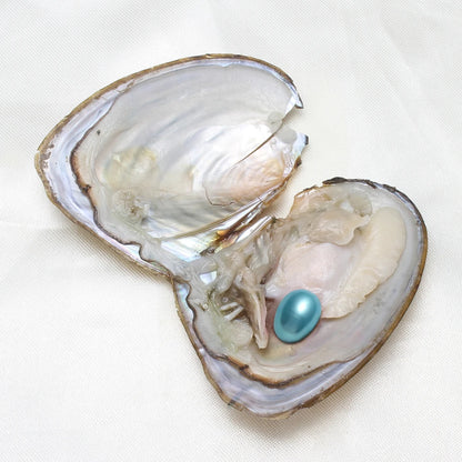 7-8MM AA+ Single Pearl Vacuum-pack Oyster Beautiful & Interesting Nature Gifts Cultivate High-quality Pearls 50pcs/Lot