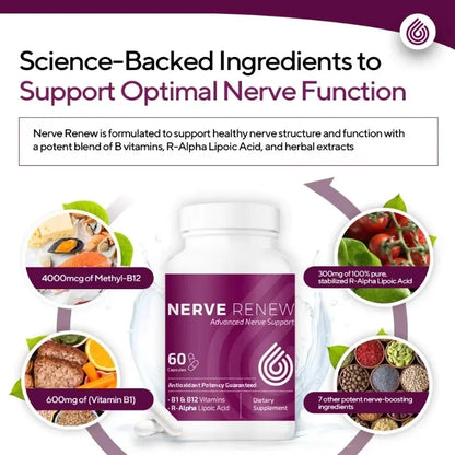 Nerve Renew Advanced Nerve Support - with R-Alpha Lipoic Acid & Vitamin B Complex - Antioxidant