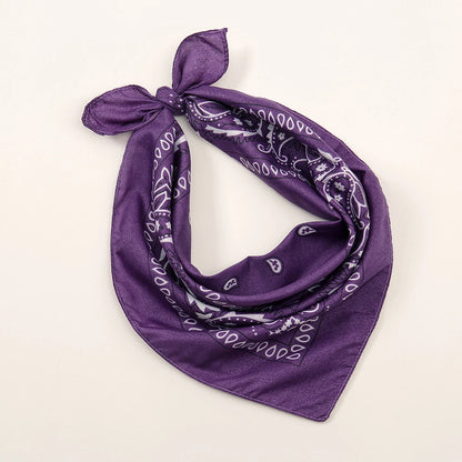 Bohemian Print Bandana Paisley Printed Headbands Hiphop Kerchief Outdoor Unisex Headband Wrist Wraps Face Mask Handkerchief FJ836-21