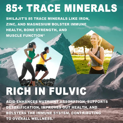 Shilajit - Brain, Focus, Memory and Immune Health, Reduce Fatigue and Improve Endurance