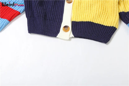 Weird Puss Y2K Cardigan Sweater Women Letter Print Casual Wild V-Neck Button Colorful Patchwork Street Trend Hipster Knit Coat
