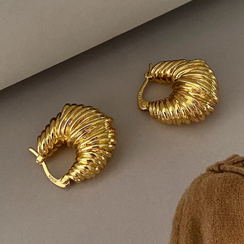 Modern Jewelry Pretty Texture Metal Hoop Earrings For Women Party Gifts Cool Trend Ear Accessories Hot Selling Dropshipping Gold Color