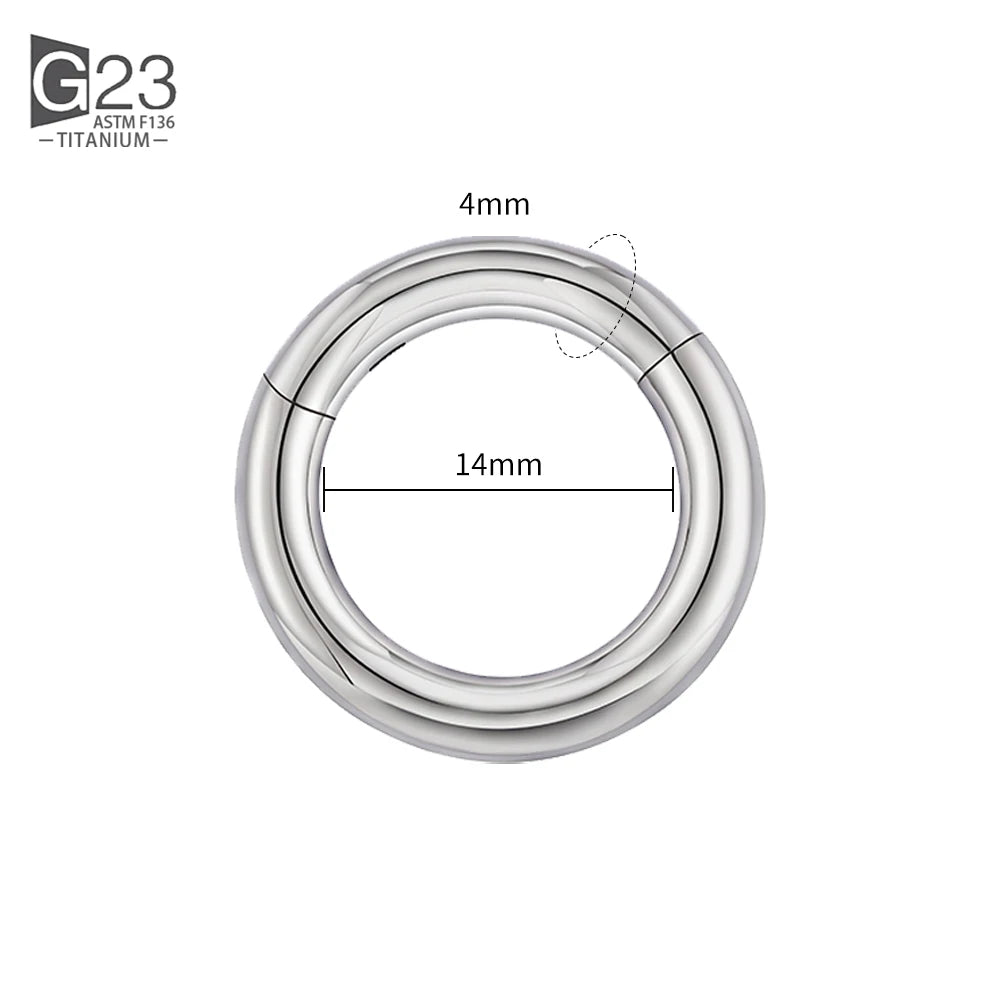 ASTM F136 Titanium PIERC Hinged Segment Hoop Earrings Large size Nose Rings 10G-6G 2.5mm-4mm Seamless Labret Lip Body Piercing 4.0x14mm